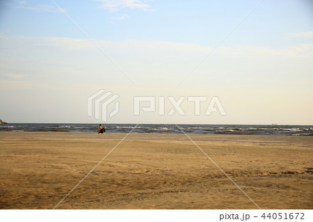 浜 海 干潟 44051672