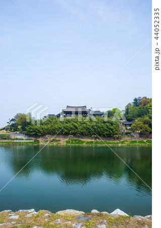 ミルヤンガン 山 森 44052335