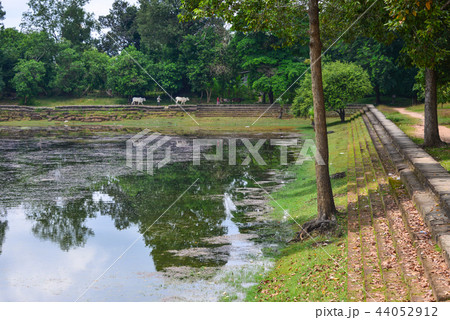 スラ・スラン スラ・スラン 44052912