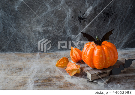 Pumpkin with bats and spiders for Halloween, Pumpkin with bats and spiders for Halloween, 44052998