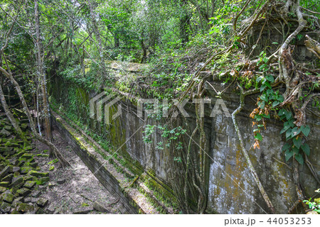 ベン・メリア ベン・メリア 44053253