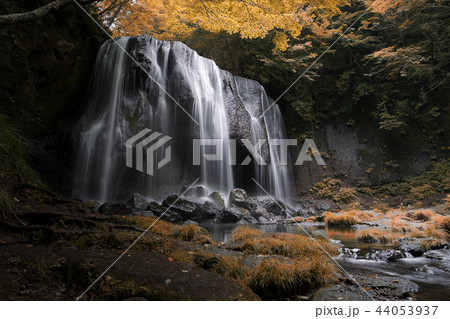 逹沢不動滝 紅葉 逹沢不動滝 紅葉 44053937