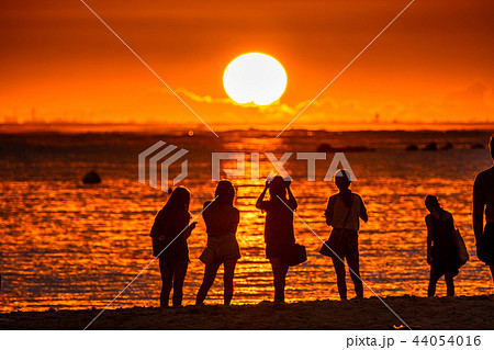 《ハワイ》ホノルル・アラモアナビーチパークの夕景 44054016