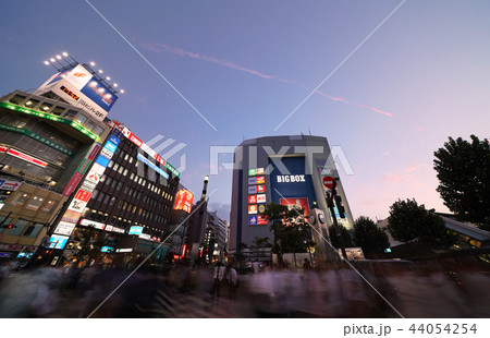 日本の東京都市景観　高田馬場駅前の街並みを望む（夜景） 44054254