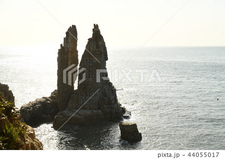 ペクリョン島 ヅムジン 自然 44055017