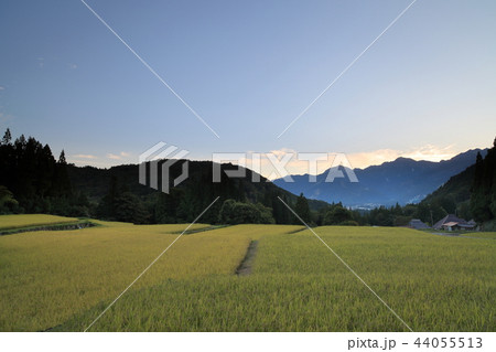 秋の青鬼集落棚田の景色 秋の青鬼集落棚田の景色 44055513