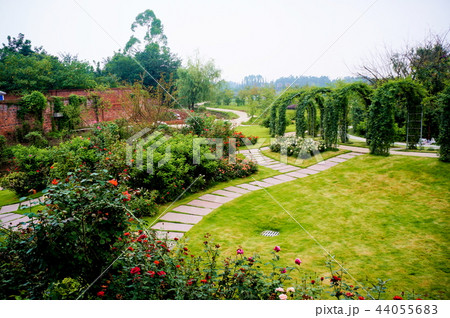 花舞人間 44055683