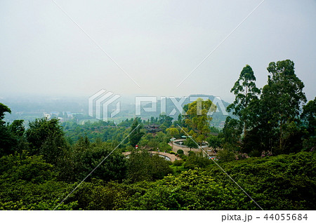 花舞人間 44055684