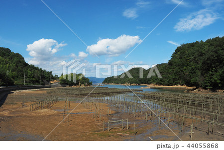 牡蠣の養殖風景 牡蠣の養殖風景 44055868