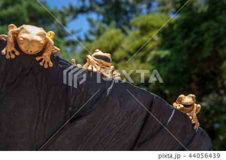 尾山神社境内風景 尾山神社境内風景 44056439