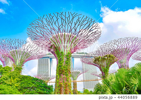 ガーデンズ・バイ・ザ・ベイ 44056889