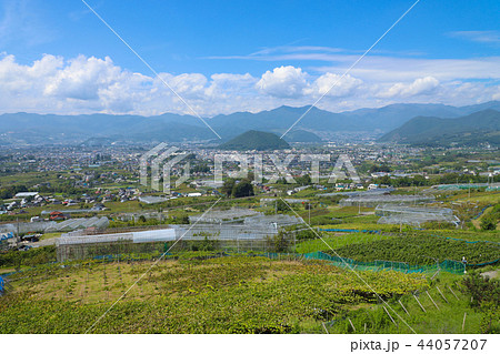 牛奥みはらしの丘から望む甲州市 44057207