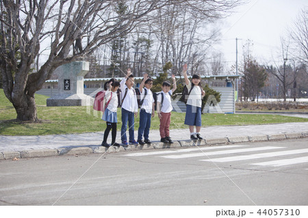 横断歩道を渡る小学生 44057310