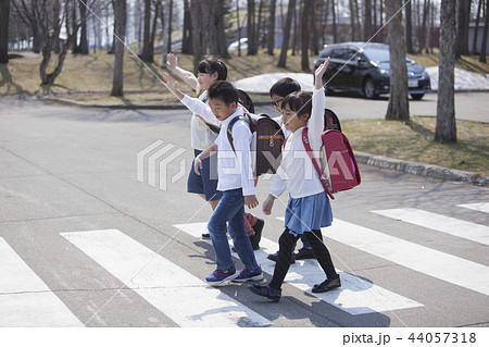 横断歩道を渡る小学生 44057318
