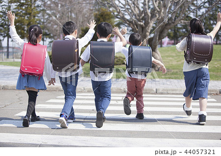 横断歩道を渡る小学生 横断歩道を渡る小学生 44057321