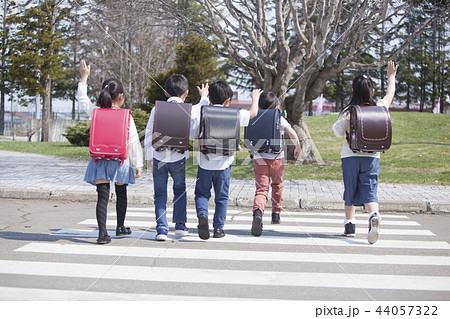 横断歩道を渡る小学生 44057322