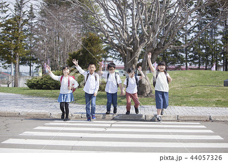 横断歩道を渡る小学生 44057326