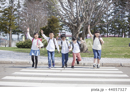横断歩道を渡る小学生 44057327