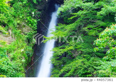 酒水の滝⑤ 44057361