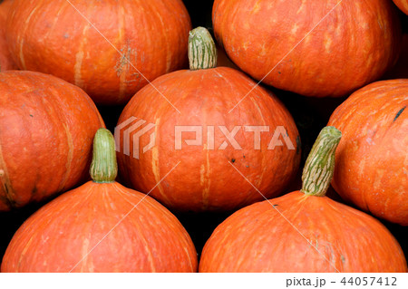 Pumpkin head background Pumpkin head background 44057412