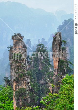 Zhangjiajie mountains, China 44058028
