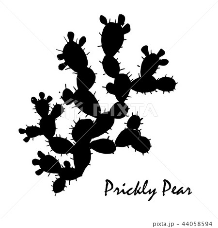 Prickly pear business card design. Big, old, and charismatic opuntia branch Prickly pear business card design. Big, old, and charismatic opuntia branch 44058594