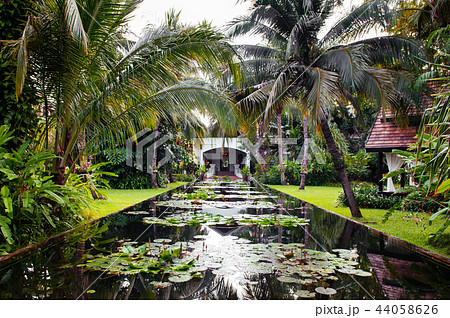 Lotus pond in tropical garden with coconut tree Lotus pond in tropical garden with coconut tree 44058626