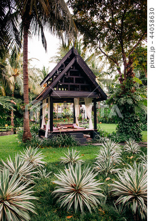 Thai pavilion in lush tropical garden coconut tree Thai pavilion in lush tropical garden coconut tree 44058630