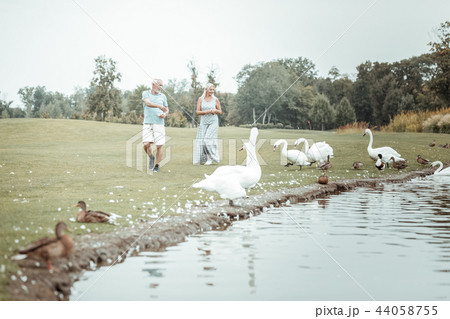Enigmatical blonde female going to feed animals Enigmatical blonde female going to feed animals 44058755