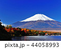 富士と紅葉 44058993