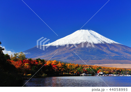 富士と紅葉 44058993