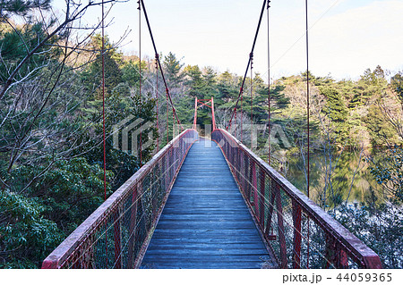 三重県　観音山公園　新池の聖橋 44059365