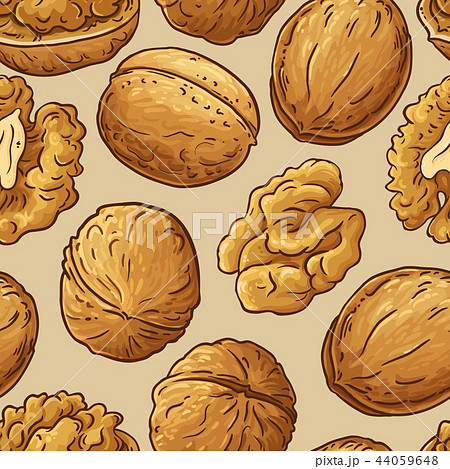 walnut vector pattern walnut vector pattern 44059648