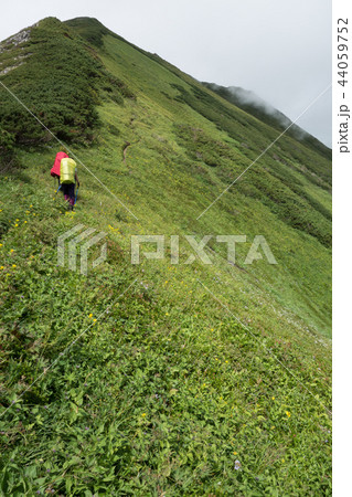 チロロルート経由で幌尻岳を目指し，北戸蔦岳から戸蔦岳 44059752