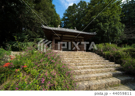 萩原寺仁王門と萩の花 香川県観音寺市 萩原寺仁王門と萩の花 香川県観音寺市 44059811