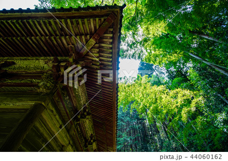 茨城県石岡市 長楽寺 茨城県石岡市 長楽寺 44060162