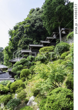 由加山蓮台寺 客殿 由加山蓮台寺 客殿 44060377