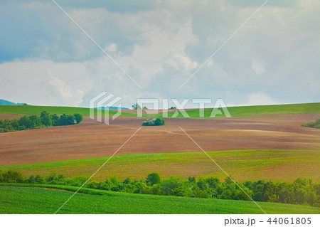 Fields under Sky Fields under Sky 44061805