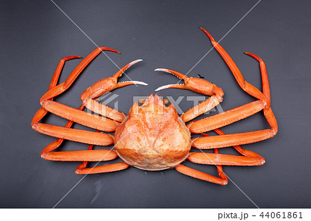 かに　食材 44061861