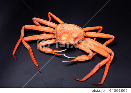 かに 食材 かに 食材 44061862