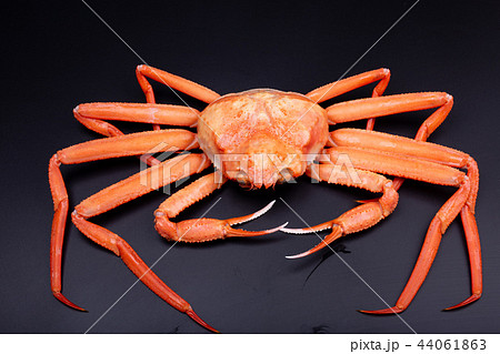 かに 食材 かに 食材 44061863