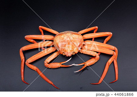 かに 食材 かに 食材 44061866