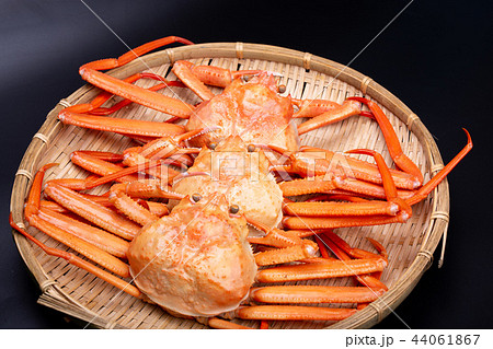 かに 食材 かに 食材 44061867