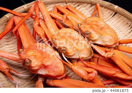 かに 食材 かに 食材 44061875