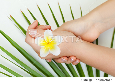 Spa manicure. Beautiful female hands with flowers 44062687