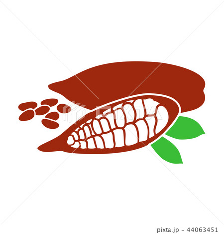 Flat Whole and cracked Ripe Cocoa pod fruit, bean 44063451