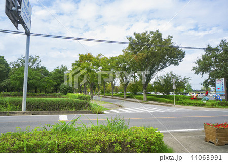 秋の羽生水郷公園　北側駐車場入り口 44063991