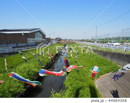 こいのぼり 44064308