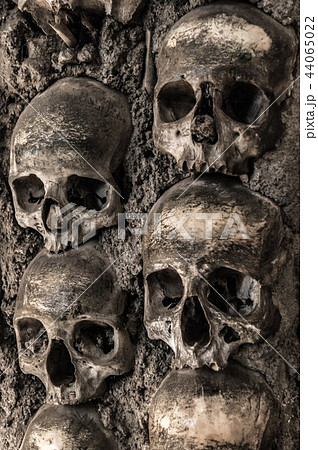 Human skulls and bones at a wall in the bone chapel Evora 44065022