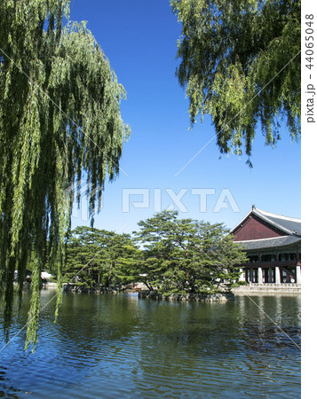 光化門 鍾路区 ソウル市 44065048